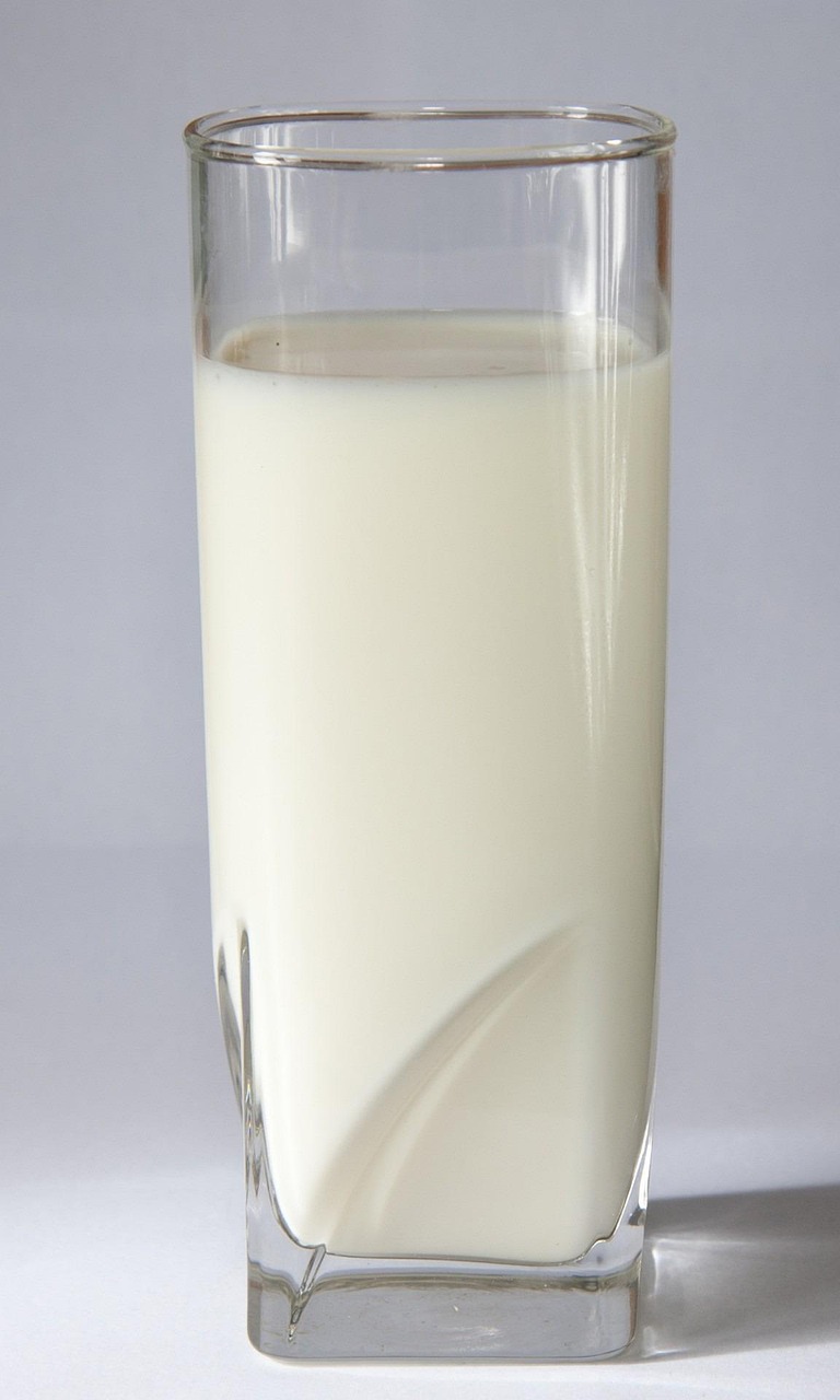 Tall glass of milk against a plain background, a comparison with another well-known food intolerance: lactose