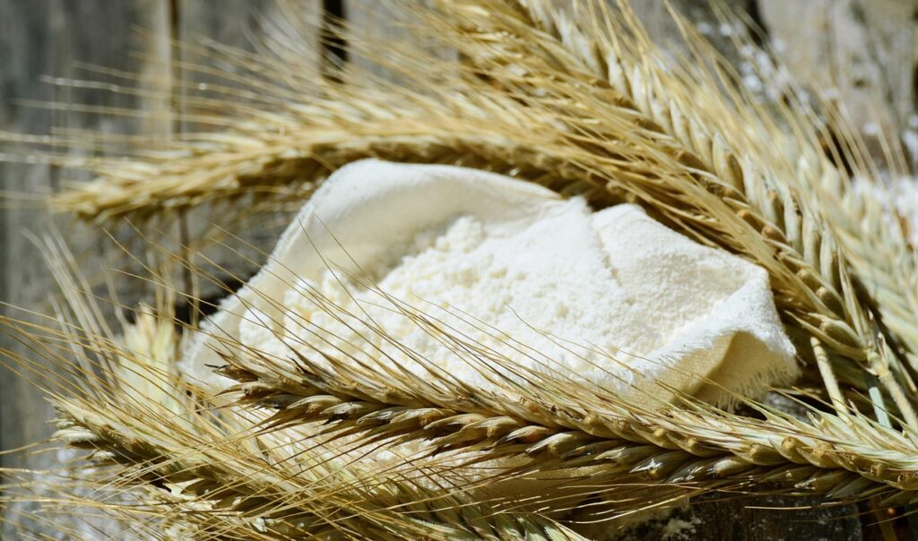 Flour in a cloth sack among wheat ears, a gluten-containing cereal that triggers celiac disease