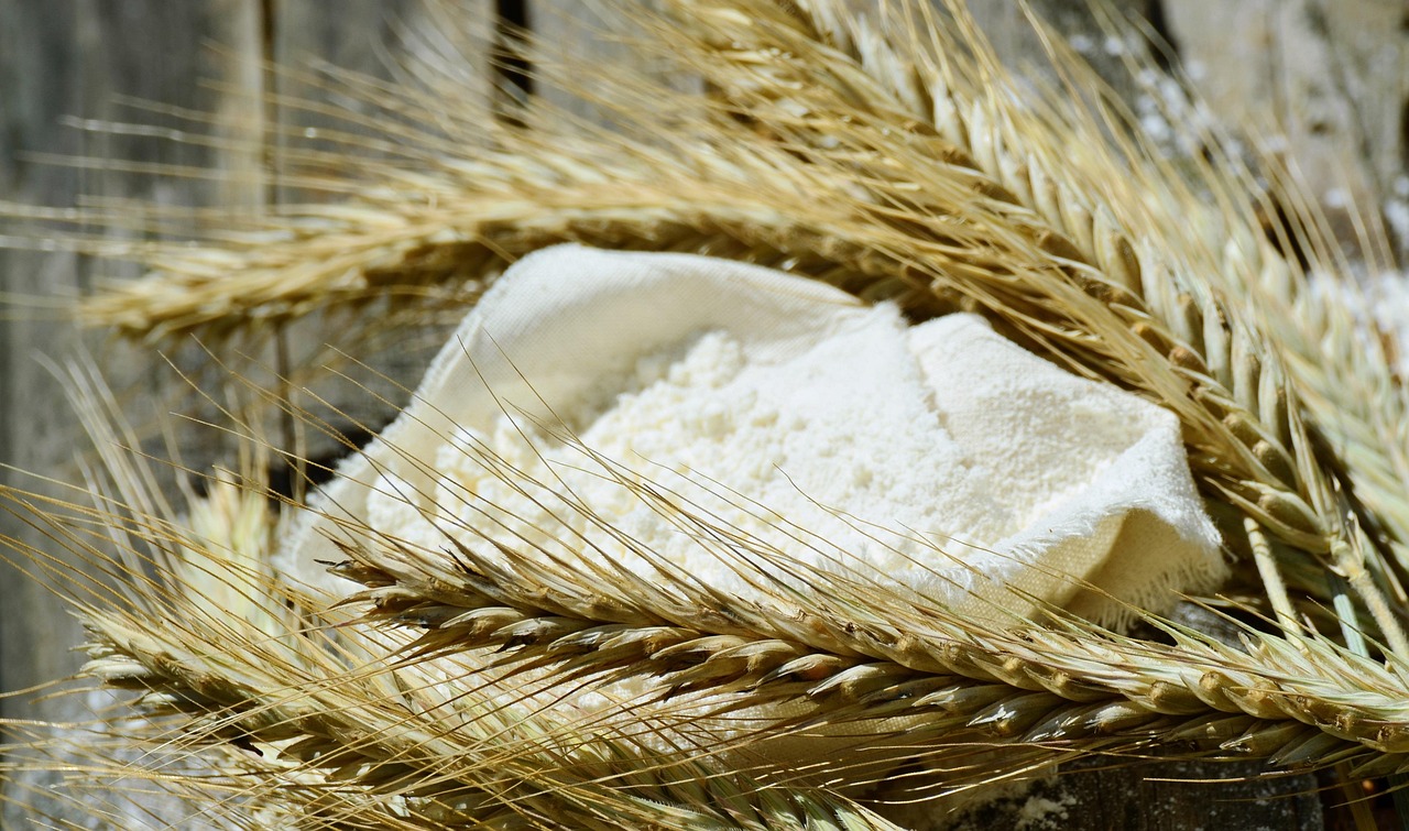 Flour in a cloth sack among wheat ears, the gluten-containing cereal behind all three of these conditions