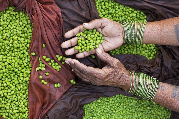 Guisantes: alimento apto para celíacos