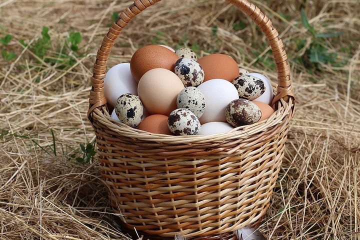 Fresh eggs: food suitable for celiacs