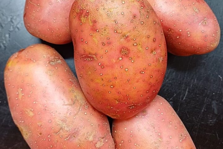 Potato: food suitable for celiacs