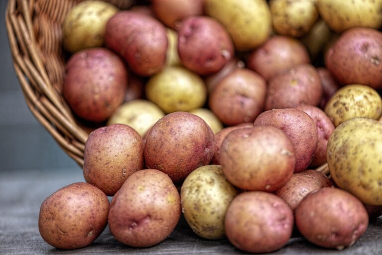 Cesta de mimbre con patatas frescas de piel roja y amarilla, un alimento sin gluten por naturaleza