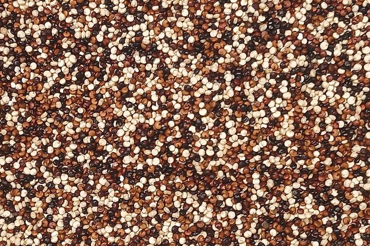 Quinoa: food suitable for celiacs
