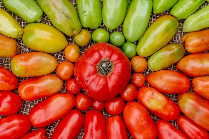 Plain tomato: food suitable for celiacs